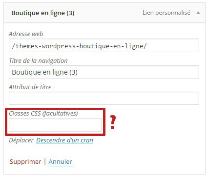Ajouter des Icones pour votre site Wordpress