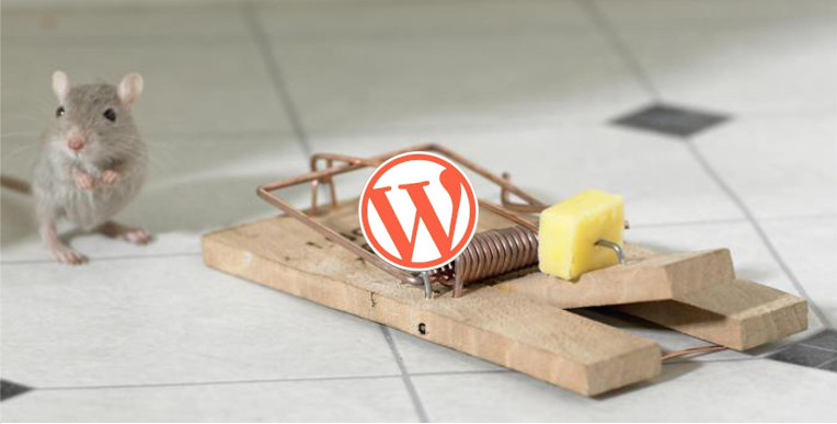 protéger wordpress astuce conseil piratage sécuriser