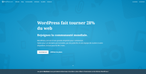 wordpress-homepage