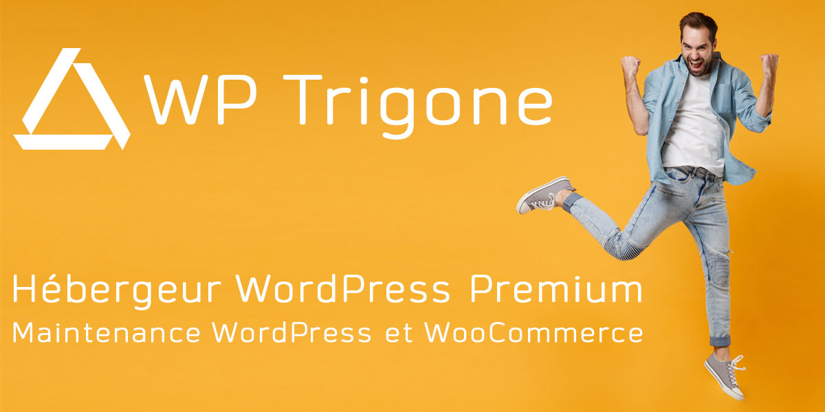 Hébergeur WordPress avec maintenance